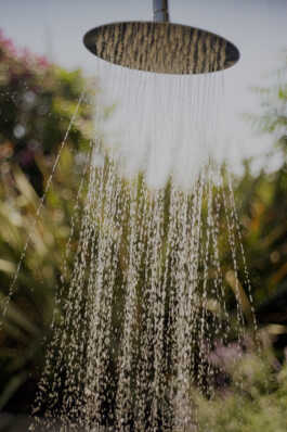 perception and misperception 