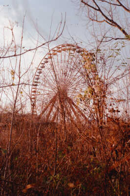 perception and misperception 