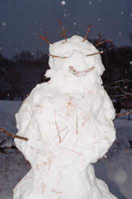 perception and misperception 