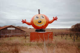 perception and misperception 