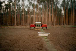 perception and misperception 