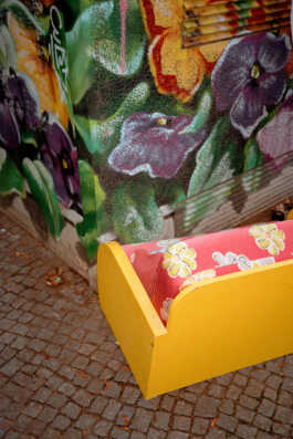 perception and misperception 