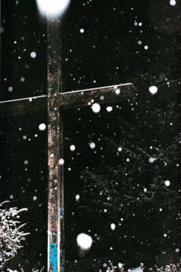 perception and misperception 