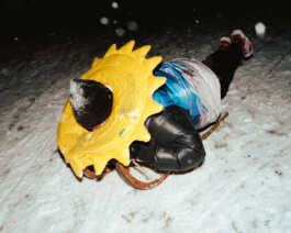 perception and misperception 