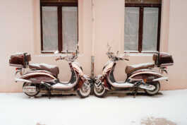 perception and misperception 