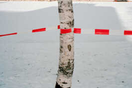 perception and misperception 