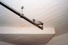 perception and misperception 