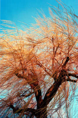 perception and misperception 