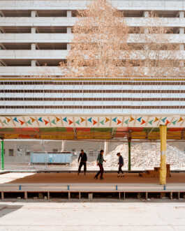 perception and misperception 