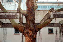 perception and misperception 