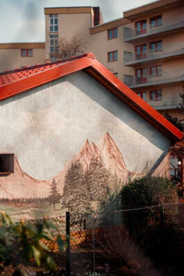 perception and misperception 