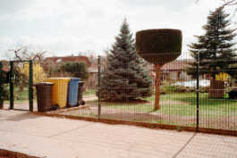 perception and misperception 