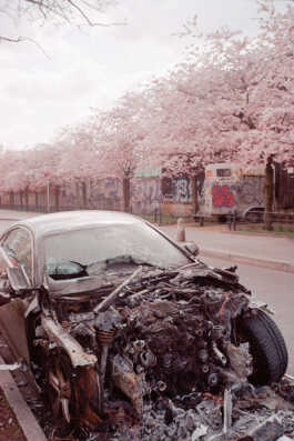 perception and misperception 