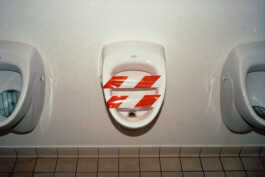 perception and misperception 