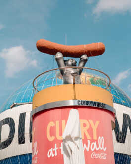 perception and misperception 