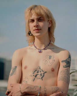 perception and misperception 