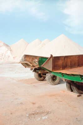 perception and misperception 