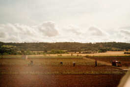 perception and misperception 