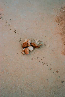 perception and misperception 