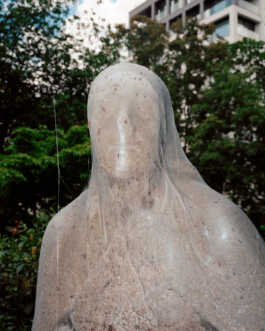 perception and misperception 