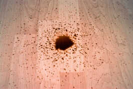 perception and misperception 