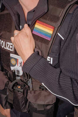 perception and misperception 