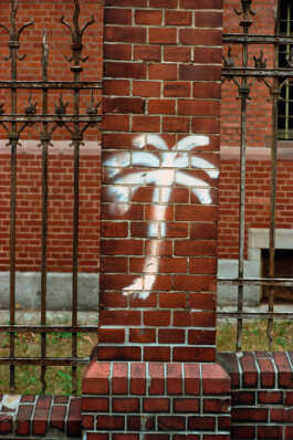 perception and misperception 