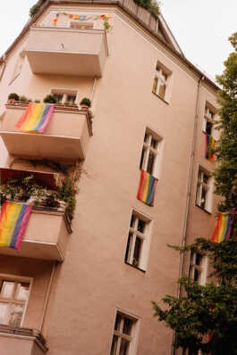 perception and misperception 