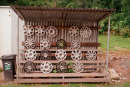 perception and misperception 