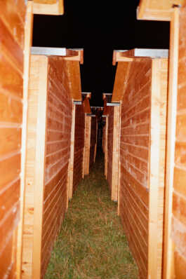 perception and misperception 