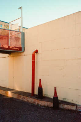 perception and misperception 