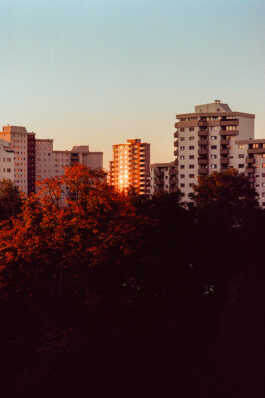 perception and misperception 