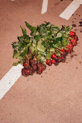 perception and misperception 