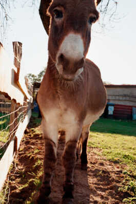 perception and misperception 