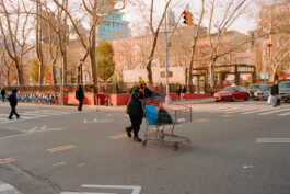 perception and misperception 