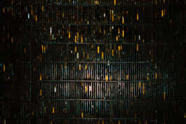 perception and misperception 