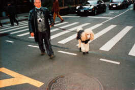 perception and misperception 