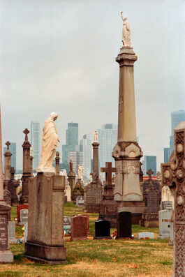 perception and misperception 