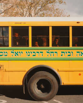 perception and misperception 