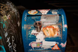 perception and misperception 