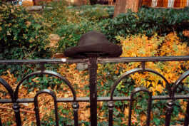 perception and misperception 