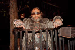 perception and misperception 