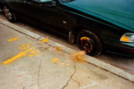 perception and misperception 