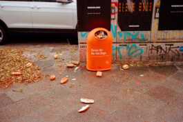 perception and misperception 