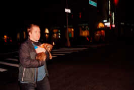 perception and misperception 