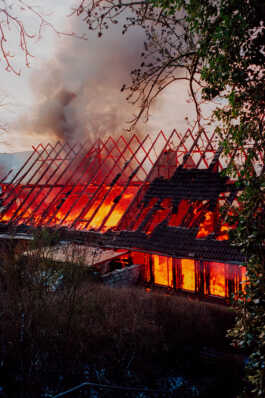 perception and misperception 