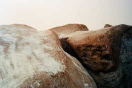 perception and misperception 