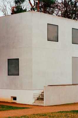 perception and misperception 