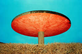 perception and misperception 