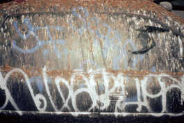 perception and misperception 